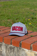 Kids Gray Bacon Hat