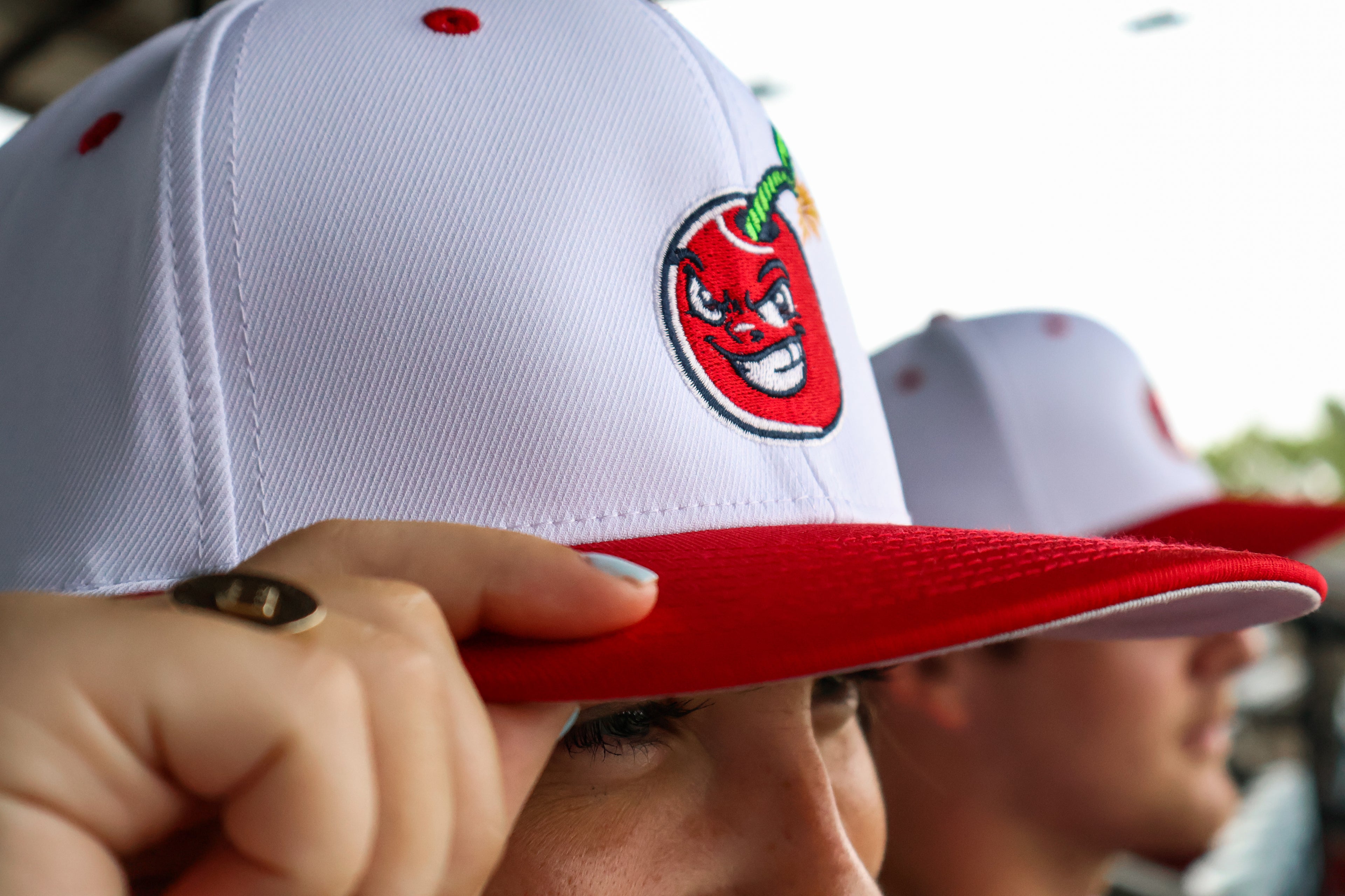 Alter Ego Fitted Hat