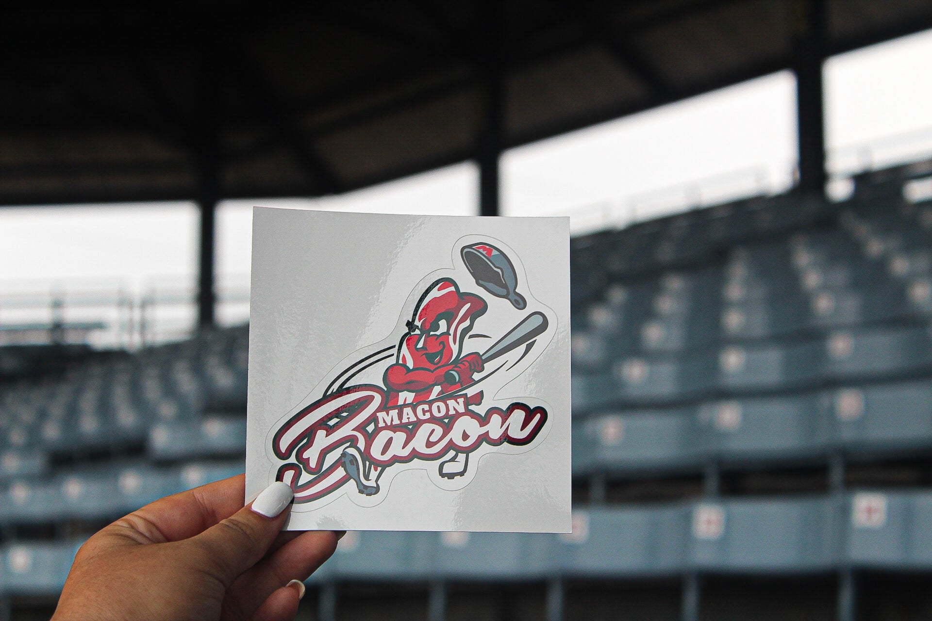 Macon Bacon Multi-Use Decal