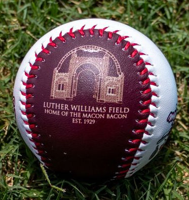 Logo + Luther Williams Field Baseball