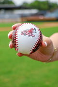 Logo + Luther Williams Field Baseball